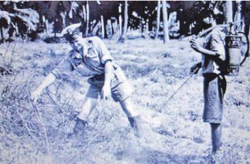 මැලේරියා මදුරු මර්දනයට එදා තෙල් ඉසින ආකාරය