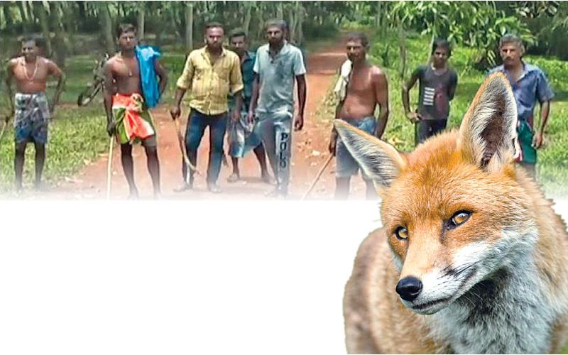 නරින් ෙගන් ගම අාරක්ෂා කරන ගම්මුන් පිරිසක්