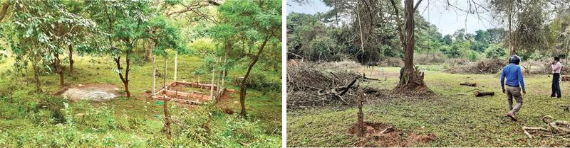 අදාළ භුමිය එළිපෙහෙළි කර ඇති අයුරු, කොහොඹ, මයිල ගස් බිම හෙළා ඇති අයුරු හා මූලික ඉදිකිරීම් කර ඇති ආකාරය මෙම ඡායාරූපවලින් දැක්වේ.