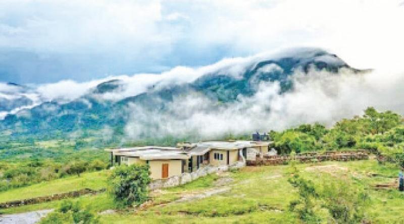 නකල්ස් පරිසර පද්ධතිය
