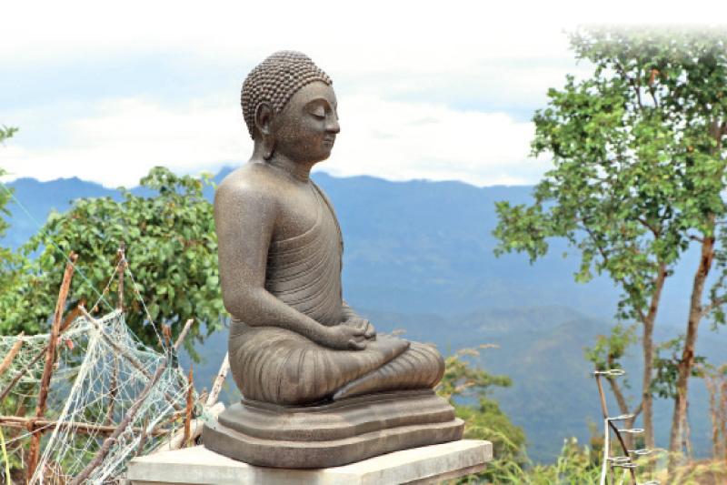 කඳු මුඳුනේ ස්ථාපිත බුදු පිළිමයක්