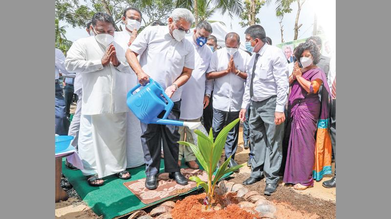 'දොරින් දොරට කප්රුක' ජාතික වැඩසටහන ආරම්භ කරමින් ජනාධිපති ගෝඨාභය රාජපක්ෂයන් දංකොටුව වැලිකැටිය වතු යායේදී පොල් පැළයක් රෝපණය කළ අවස්ථාව. වැවිලි කර්මාන්ත ඇමැති වෛද්ය රමේෂ් පතිරණ, මහාමාර්ග ඇමැති ජොන්ස්ටන් ප්රනාන්දු පොල්, තල්, රබර් වගා ප්රවර්ධන රාජ්ය ඇමැති ඉන්දික අනුරුද්ධ යන අයද මෙම අවස්ථාවට එක්වූහ.
