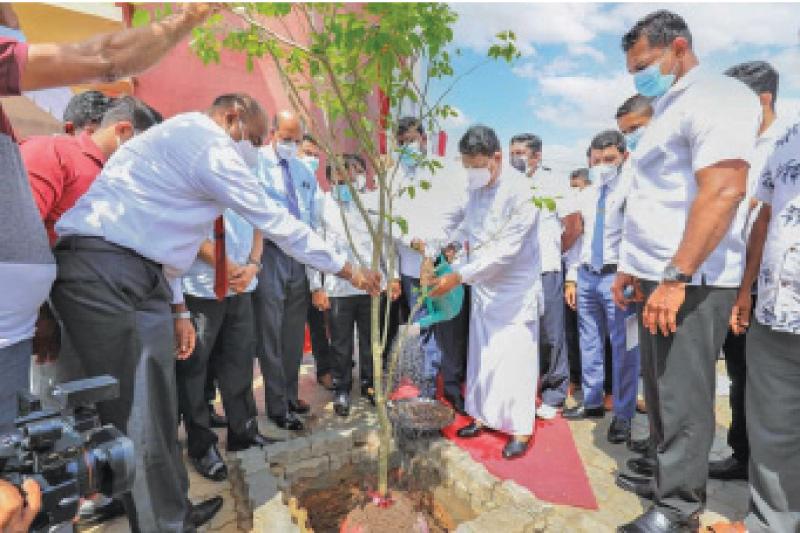සියක් නගර සංවර්ධන ව්යාපෘතිය ආරම්භ කරමින් නාගරික සංවර්ධන, අපද්රව්ය බැහැරලීම හා ප්රජා පවිත්රතා කටයුතු රාජ්ය අමාත්ය නාලක ගොඩහේවා පැළයක් රෝපණය කරන අයුරු සහ ඵලකයක් විවෘත කිරිම.