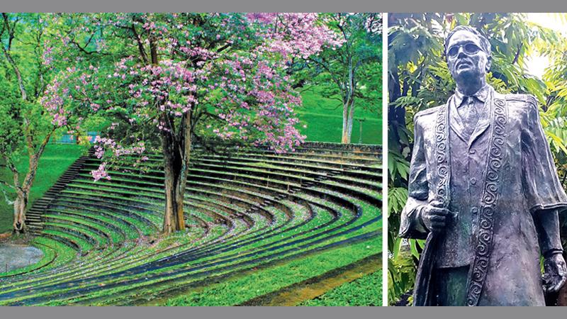 නිර්මාතෘ අයිවර් ජෙනිග්ස්