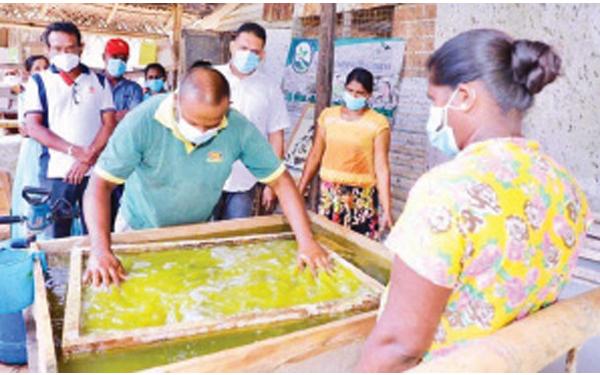 රාජාංගණය ප්රදේශයේ ශාක පත්ර මඟින් අත් කඩදාසි නිෂ්පාදනය කිරීම.