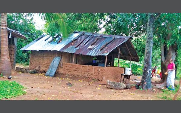 මියගිය ධනුෂ්ක හා කත ජීවත්වූ කන්තලේ නිෙවස