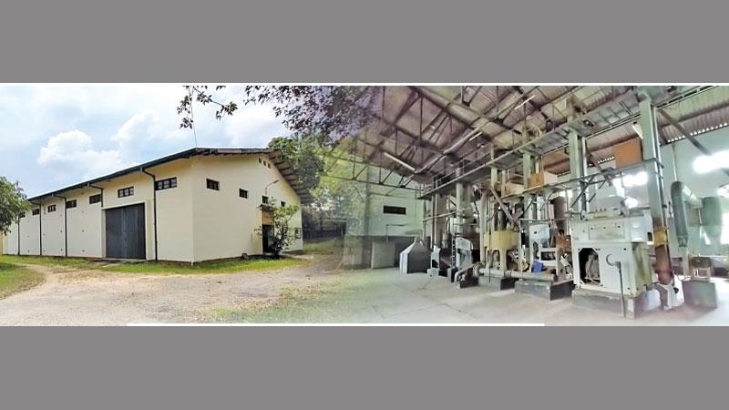 විනාශයට පත්වෙමින් තිබෙන හිඟුරක්ගෝඩ සහල් මෝල