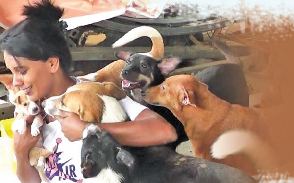 සුනඛයන්ගේ ආදරයට මැදිවූ රෝෂිණි