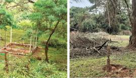 අදාළ භුමිය එළි­පෙ­හෙළි කර ඇති අයුරු, කොහොඹ, මයිල ගස් බිම හෙළා ඇති අයුරු  හා මූලික ඉදි­කි­රීම් කර ඇති ආකා­රය මෙම ඡායාරූපවලින් දැක්වේ.    