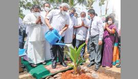 'දොරින් දොරට කප්රුක' ජාතික වැඩ­ස­ට­හන ආරම්භ කර­මින් ජනා­ධි­පති ගෝඨා­භය  රාජ­පක්ෂයන් දංකො­ටුව වැලි­කැ­ටිය වතු යායේදී පොල් පැළ­යක් රෝප­ණය කළ අව­ස්ථාව. වැවිලි කර්මාන්ත ඇමැති වෛද්‍ය රමේෂ් පති­රණ, මහා­මාර්ග ඇමැති ජොන්ස්ටන් ප්‍රනාන්දු පොල්, තල්, රබර් වගා ප්‍රව­ර්ධන රාජ්‍ය ඇමැති ඉන්දික අනු­රුද්ධ යන අයද මෙම අව­ස්ථා­වට එක්වූහ.