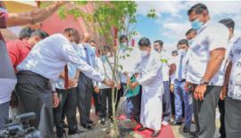 සියක් නගර සංව­ර්ධන ව්‍යාපෘ­තිය ආරම්භ කර­මින්  නාග­රික සංව­ර්ධන, අප­ද්‍රව්‍ය බැහැ­ර­ලීම හා ප්‍රජා පවි­ත්‍රතා කට­යුතු රාජ්‍ය අමාත්‍ය නාලක ගොඩ­හේ­වා පැළයක් රෝපණය කරන අයුරු සහ ඵලකයක් විවෘත කිරිම.