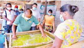 රාජාං­ගණය ප්‍රදේ­ශයේ ශාක පත්‍ර මඟින් අත් කඩ­දාසි නිෂ්පා­ද­නය කිරීම.