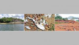 කණ්ඩලව වැවේ පිහිටි දූපත, ගල් තලාව මත කුරුල්ලන් මරාදමා ඇති අයුරු සහ එම දූපතේ පොළොවේ පස් ඉවත් කර ඇති ආකාරය ඡායාරූපවලින් දැක්වේ