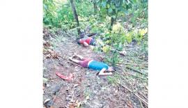 වල් ඌරන්ට බැඳි අනවසර විදුලි රැහැනට බිලිවූ කොලොන්නේ හංසිකා සහ දික්වැල්ලේ සුරාජ්ගේ සිරුරු කුරුඳු ඉඩමෙන් හමුවූ අයුරු සහ අනවසර විදුලි රැහැන සිරුරේ පැටලී තිබූණේ මෙසේය. දකුණු පස දැක්වෙන්නේ පෙම් යුවළගේ ජායාරූපය.
