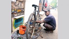 කොටුව ඩයස් පෙදෙසේ පාපැදි වින්කල් කඩයක්